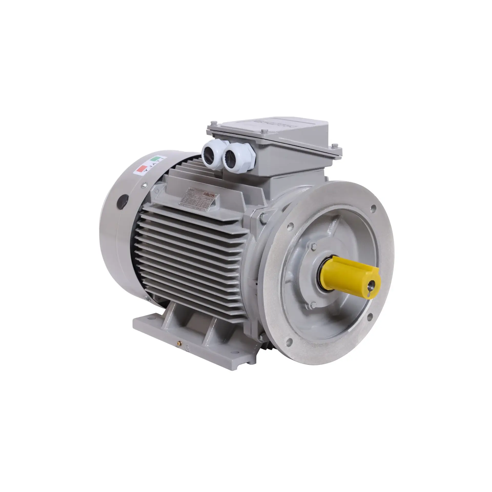 AM3C..B35-AM1C..B35 - ATLAS CAST IRON ELECTRIC MOTOR FOOT CUM FLANGE MOUNTED IMB35-1