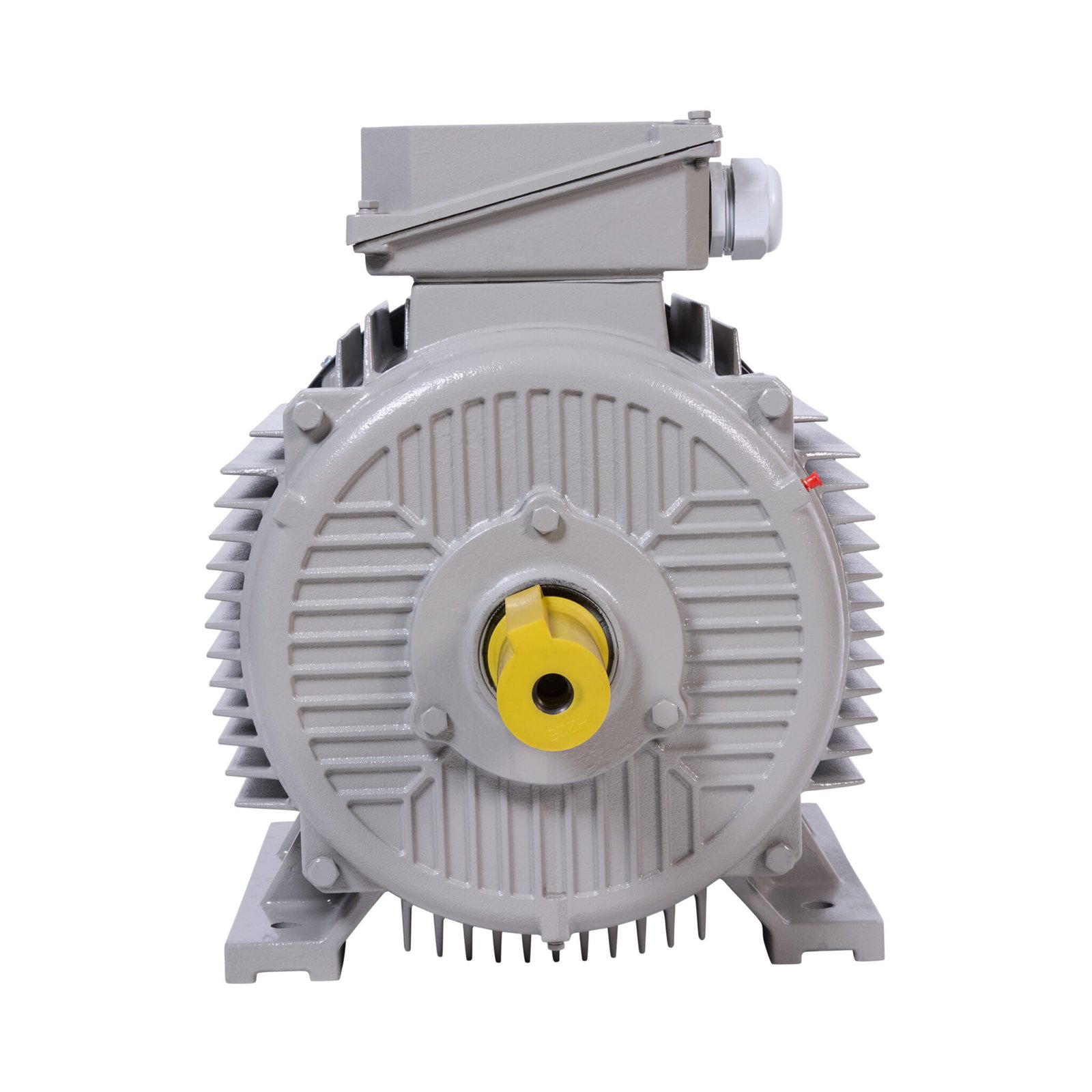AM3C..B3-AM1C..B3 - ATLAS CAST IRON ELECTRIC MOTOR FOOT MOUNTED IMB3-2