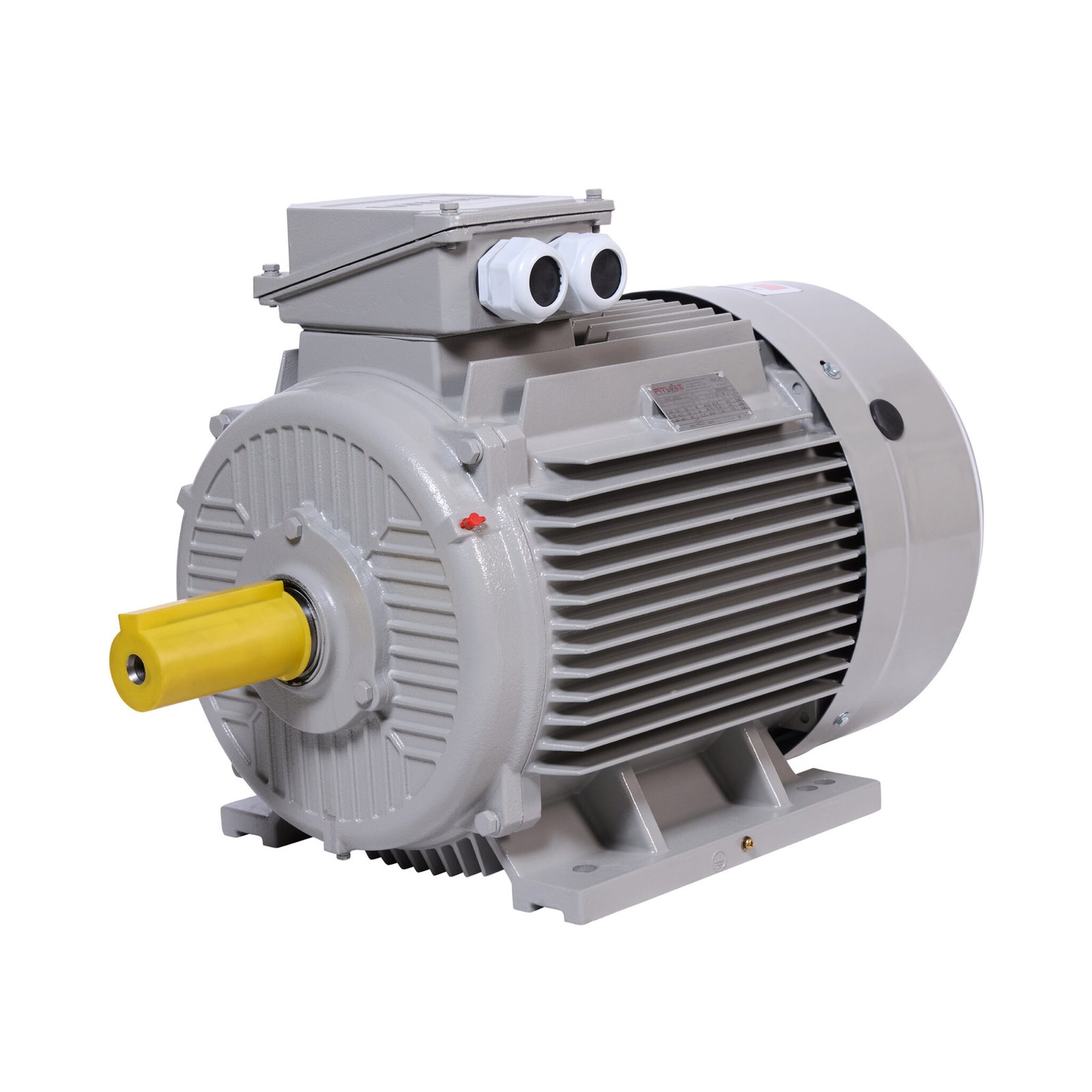 AM3C..B3-AM1C..B3 - ATLAS CAST IRON ELECTRIC MOTOR FOOT MOUNTED IMB3-3
