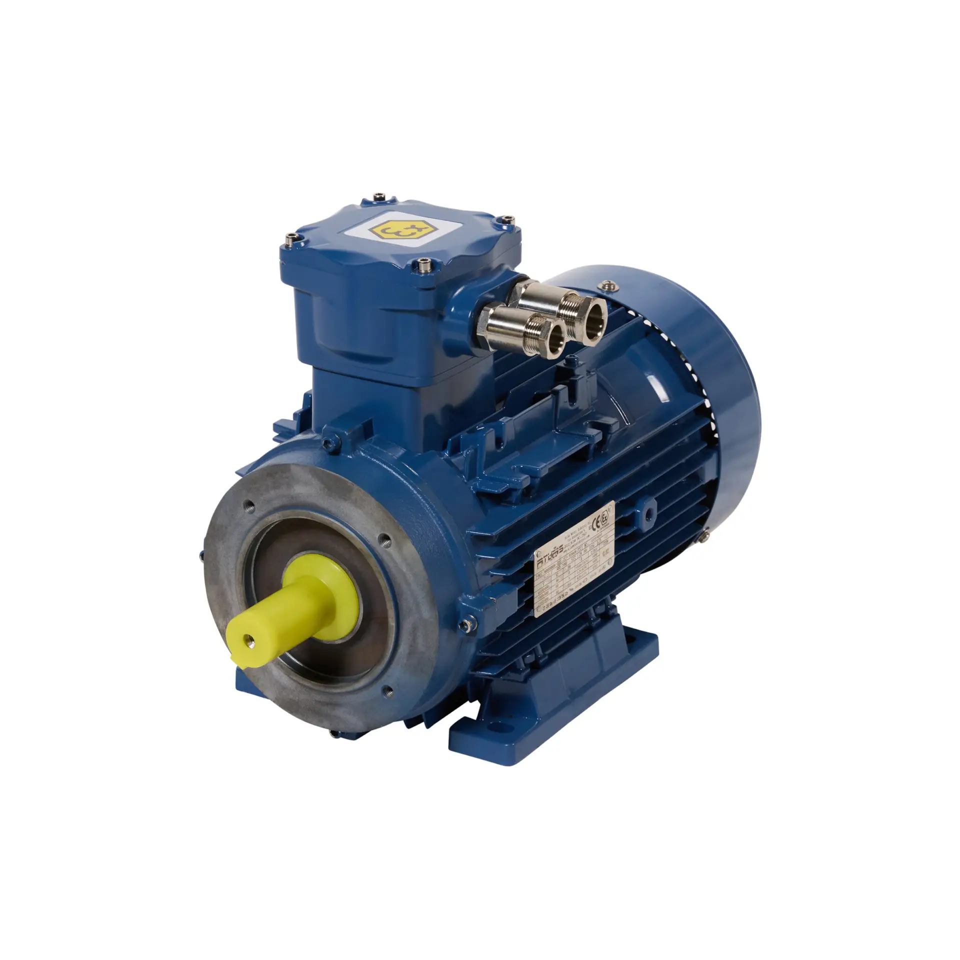 AM3EX..B34 - ATLAS EXPLOSION PROOF MOTOR FOOT CUM FACE FLANGE MOUNTED IMB34-2